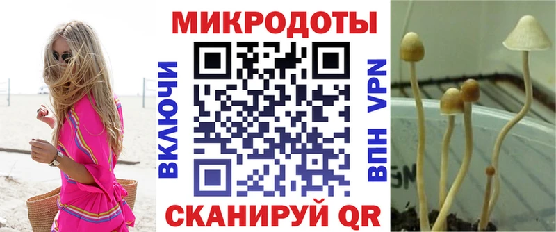 Псилоцибиновые грибы ЛСД  Алагир 